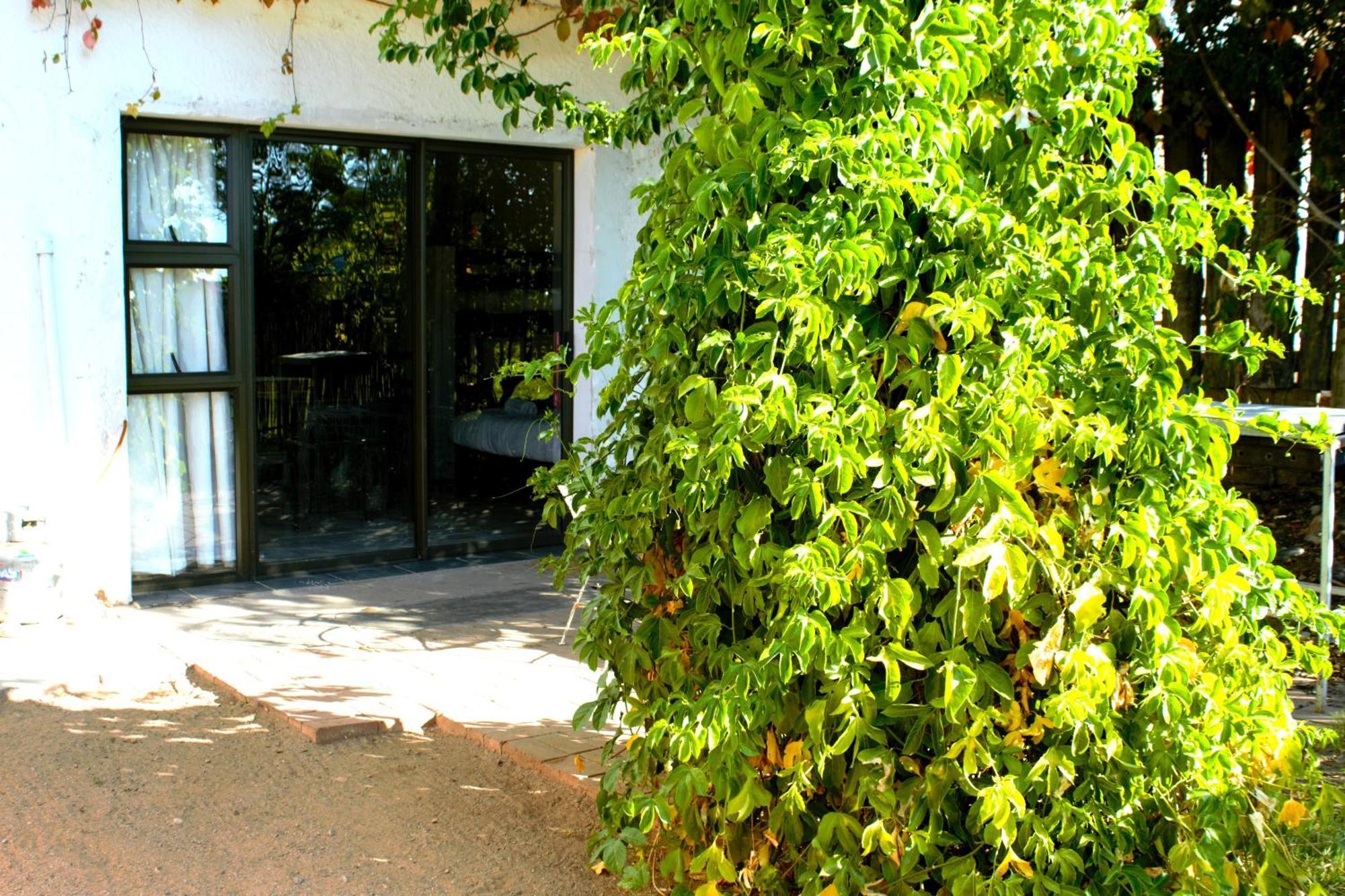 Ditsem Guest Farm Upington Eksteriør bilde