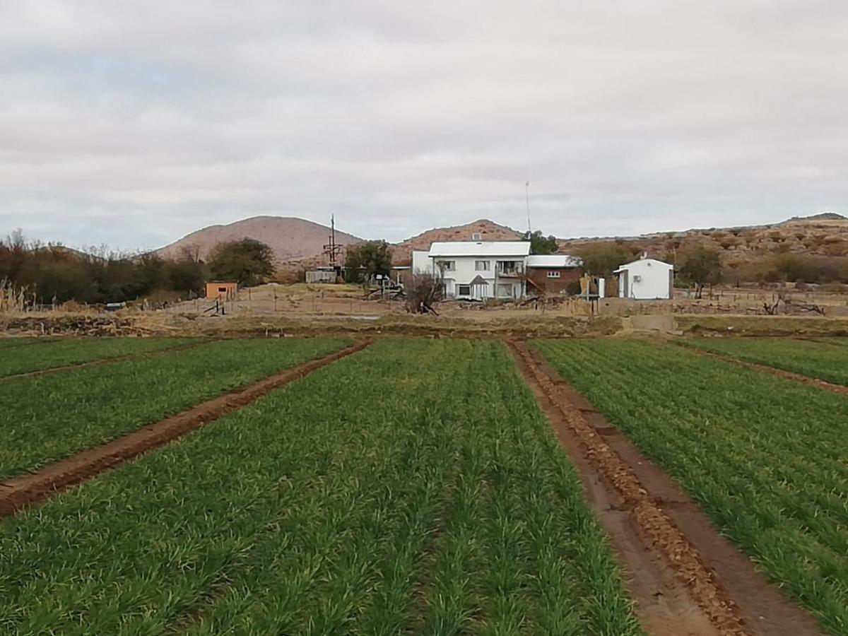 Ditsem Guest Farm Upington Eksteriør bilde